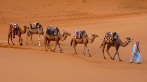 Excursion 2 dias al Desierto desde Ouarzazate
